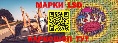 ПСИЛОЦИБИНОВЫЕ ГРИБЫ Можга