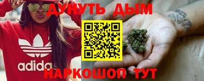 гидра Можайск