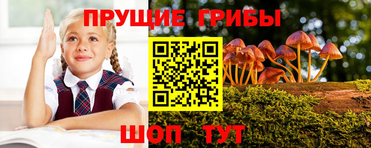 Галлюциногенные грибы мицелий  Псилоцибиновые грибы Psilocybe  Вход с VPN  Ханты-Мансийск 